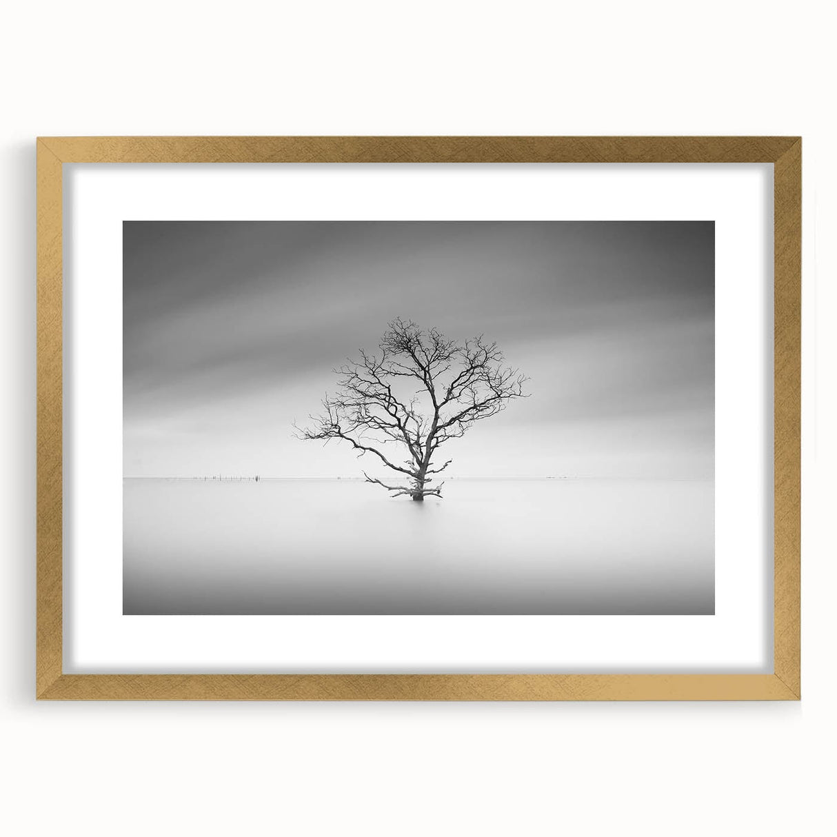 Solitary Tree in Water - Fine Art Photography Acrylic Prints