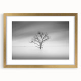 Solitary Tree in Water - Fine Art Photography Acrylic Prints