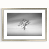 Solitary Tree in Water - Fine Art Photography Acrylic Prints