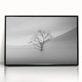 Solitary Tree in Water - Fine Art Photography Acrylic Prints