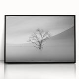 Solitary Tree in Water - Fine Art Photography Acrylic Prints