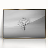 Solitary Tree in Water - Fine Art Photography Acrylic Prints