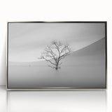 Solitary Tree in Water - Fine Art Photography Acrylic Prints