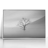Solitary Tree in Water - Fine Art Photography Acrylic Prints