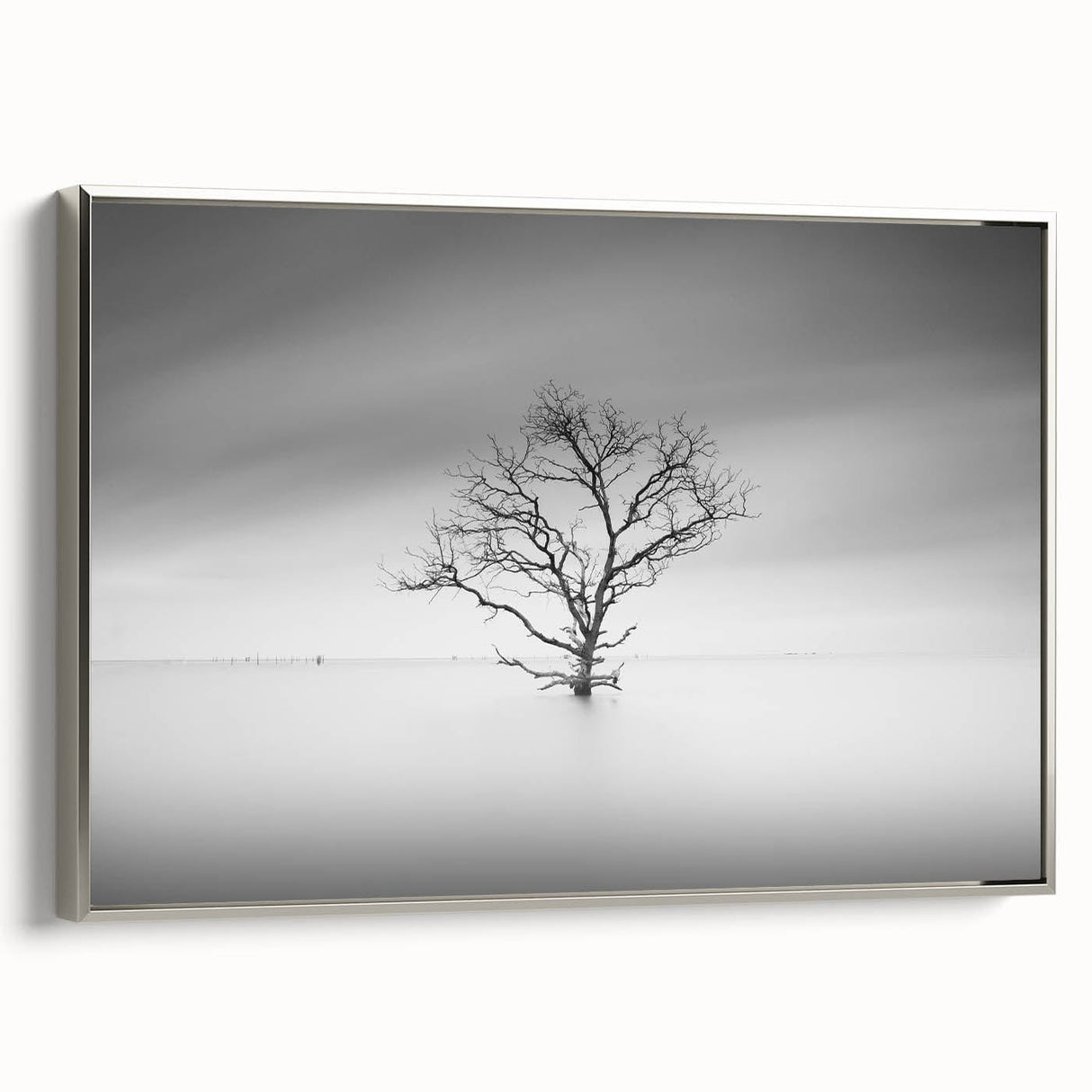 Solitary Tree in Water - Fine Art Photography Acrylic Prints