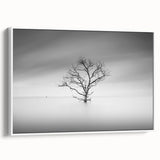 Solitary Tree in Water - Fine Art Photography Acrylic Prints