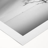 Solitary Tree in Water - Fine Art Photography Acrylic Prints