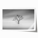 Solitary Tree in Water - Fine Art Photography Acrylic Prints