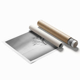 Solitary Tree in Water - Fine Art Photography Acrylic Prints