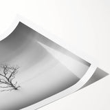 Solitary Tree in Water - Fine Art Photography Acrylic Prints