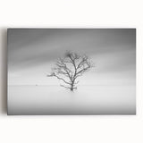 Solitary Tree in Water - Fine Art Photography Acrylic Prints