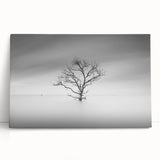 Solitary Tree in Water - Fine Art Photography Acrylic Prints