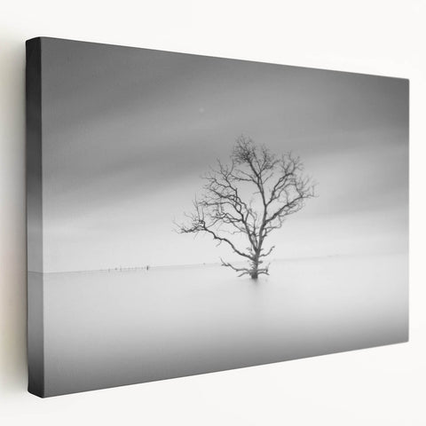 Solitary Tree in Water - Fine Art Photography Acrylic Prints