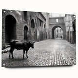 Urban Landscape Photography Decor – Metropolitan Photography Art