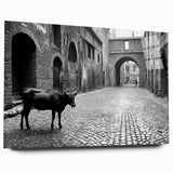 Urban Landscape Photography Decor – Metropolitan Photography Art