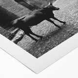 Urban Landscape Photography Decor – Metropolitan Photography Art