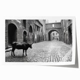 Urban Landscape Photography Decor – Metropolitan Photography Art