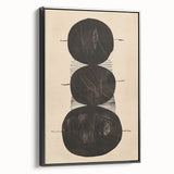 Abstract Geometric Framed Art – Minimalist Black Circles on Beige