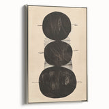 Abstract Geometric Framed Art – Minimalist Black Circles on Beige