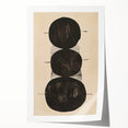 Abstract Geometric Framed Art – Minimalist Black Circles on Beige