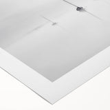 Sailboats in Mist - Fine Art Photography Acrylic Prints