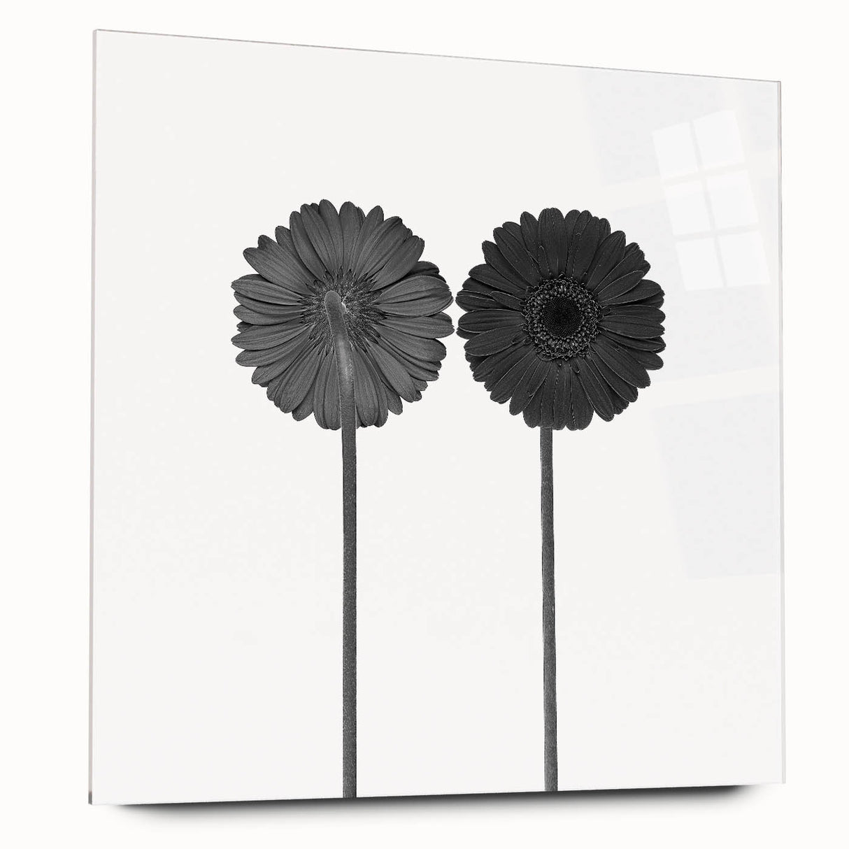 Floral Symmetry - Fine Art Photography Framed Prints