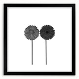 Floral Symmetry - Fine Art Photography Framed Prints