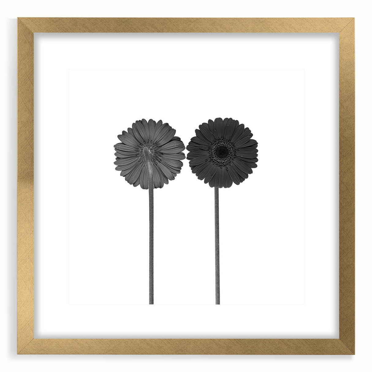 Floral Symmetry - Fine Art Photography Framed Prints