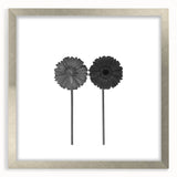 Floral Symmetry - Fine Art Photography Framed Prints