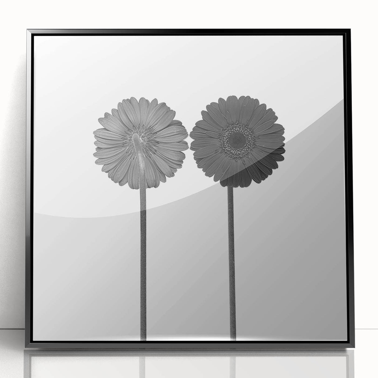 Floral Symmetry - Fine Art Photography Framed Prints