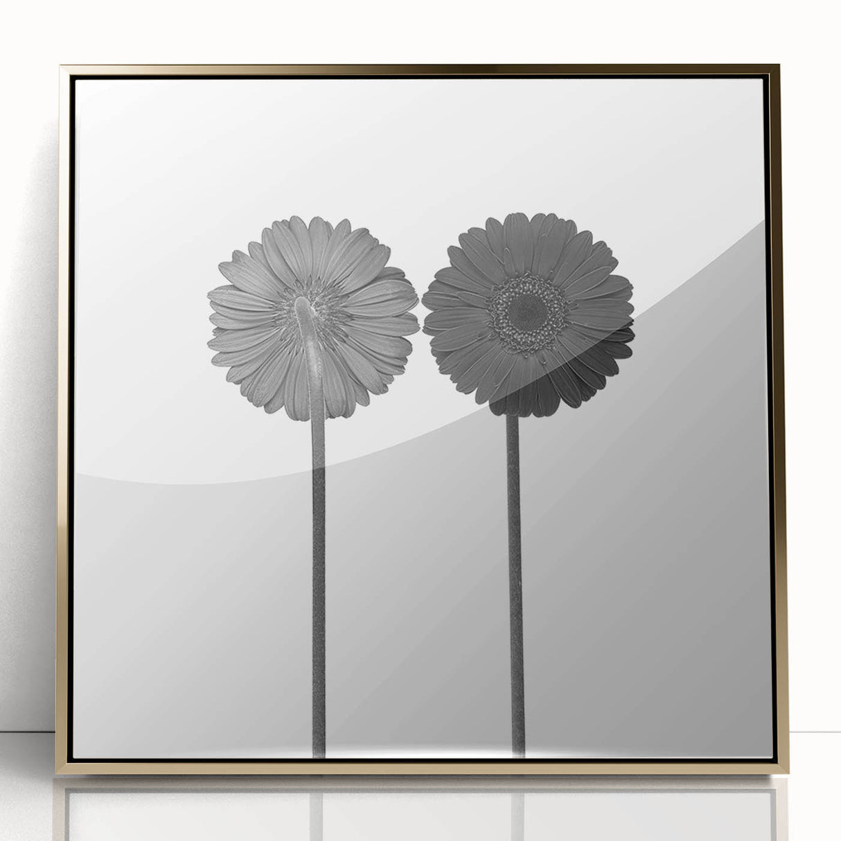 Floral Symmetry - Fine Art Photography Framed Prints