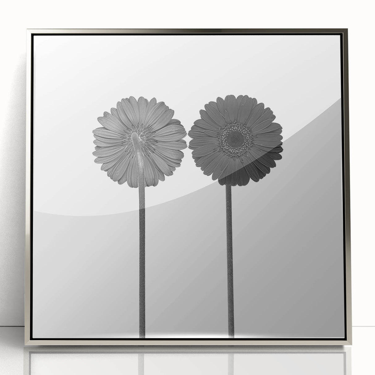 Floral Symmetry - Fine Art Photography Framed Prints