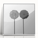 Floral Symmetry - Fine Art Photography Framed Prints