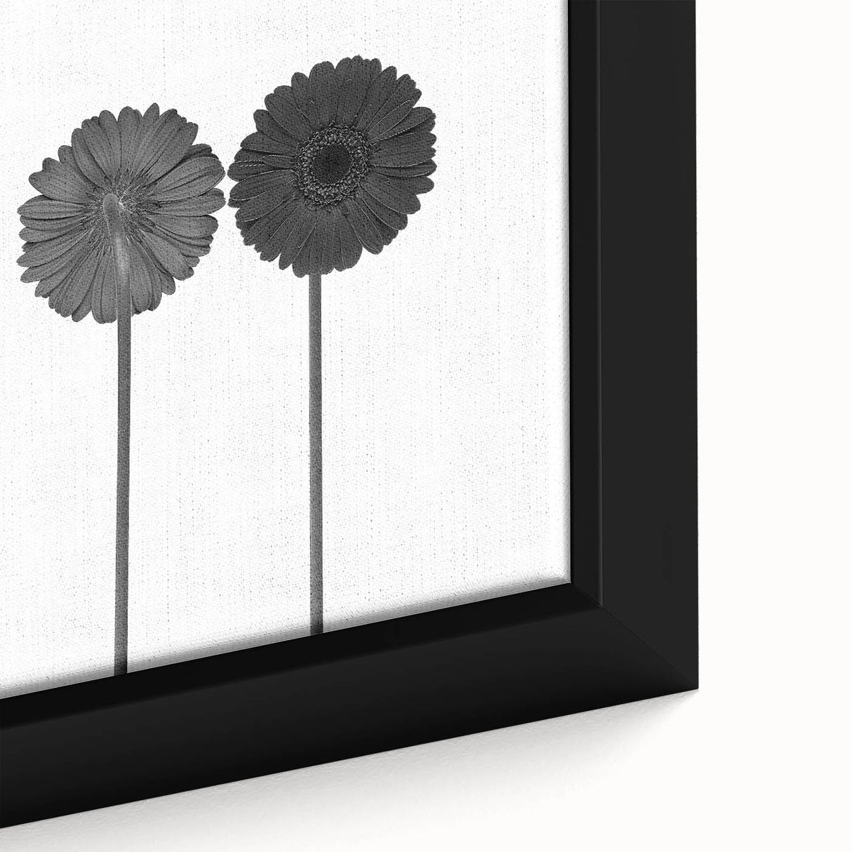Floral Symmetry - Fine Art Photography Framed Prints
