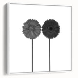 Floral Symmetry - Fine Art Photography Framed Prints