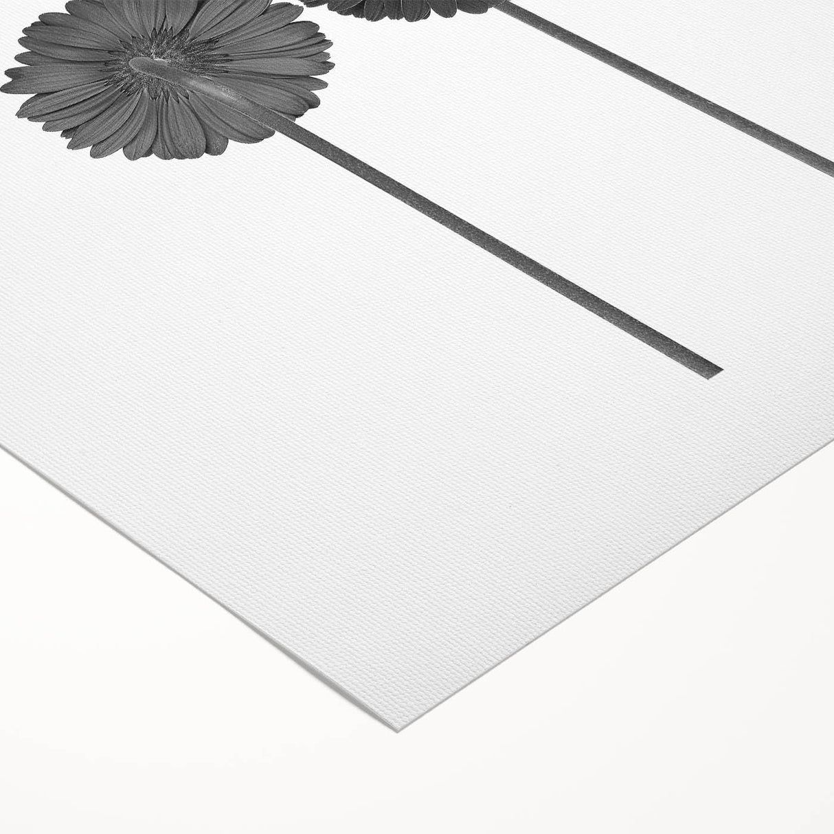 Floral Symmetry - Fine Art Photography Framed Prints