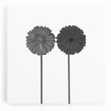 Floral Symmetry - Fine Art Photography Framed Prints