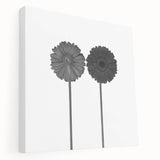 Floral Symmetry - Fine Art Photography Framed Prints