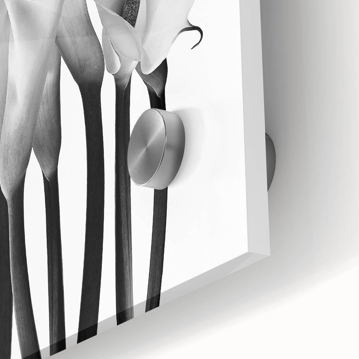 Calla Lilies Elegance - Fine Art Photography Canvas Prints