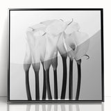 Calla Lilies Elegance - Fine Art Photography Canvas Prints