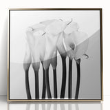 Calla Lilies Elegance - Fine Art Photography Canvas Prints