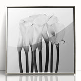 Calla Lilies Elegance - Fine Art Photography Canvas Prints