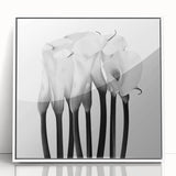 Calla Lilies Elegance - Fine Art Photography Canvas Prints