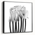 Calla Lilies Elegance - Fine Art Photography Canvas Prints