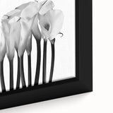 Calla Lilies Elegance - Fine Art Photography Canvas Prints