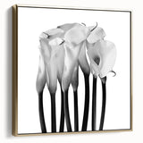 Calla Lilies Elegance - Fine Art Photography Canvas Prints