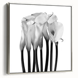 Calla Lilies Elegance - Fine Art Photography Canvas Prints
