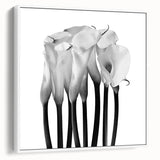 Calla Lilies Elegance - Fine Art Photography Canvas Prints