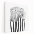 Calla Lilies Elegance - Fine Art Photography Canvas Prints