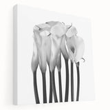Calla Lilies Elegance - Fine Art Photography Canvas Prints